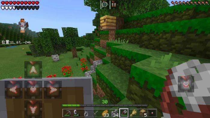 苹果怎么下载国际基岩版苹果minecraft国际版-第2张图片-太平洋在线下载