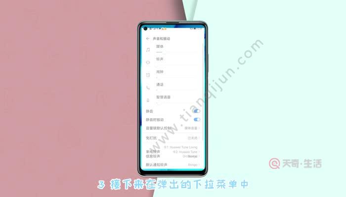 华为手机声音自动变小华为p40外放声音变小-第1张图片-太平洋在线下载