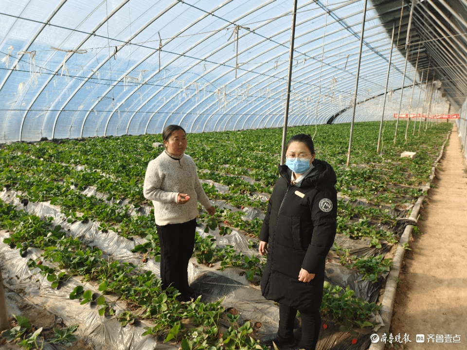 天天旺苹果版贷款
:临清农商银行：金融助力乡村振兴结硕果