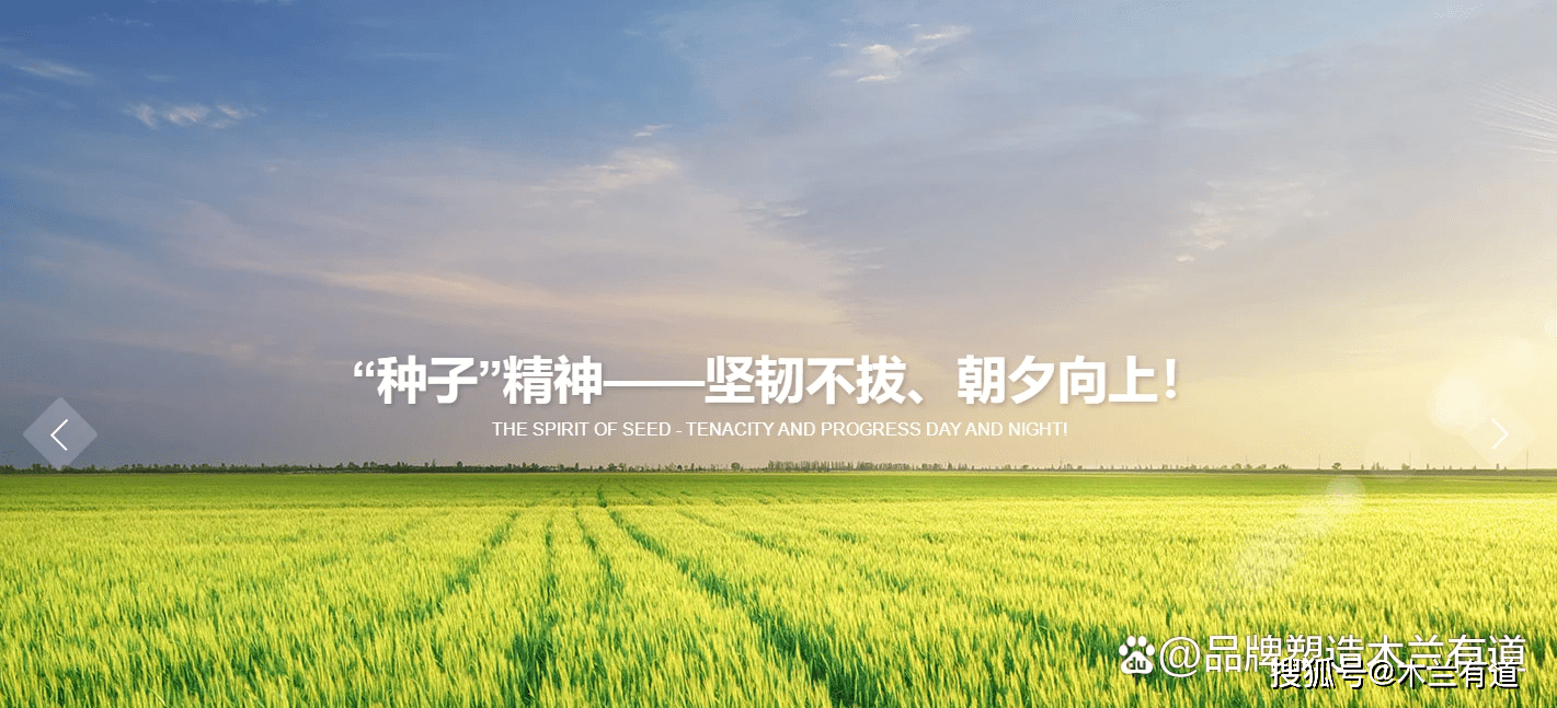 苹果官网 网页版:木兰有道｜企业文化打造amp;品牌官网设计案例展示-第3张图片-太平洋在线下载