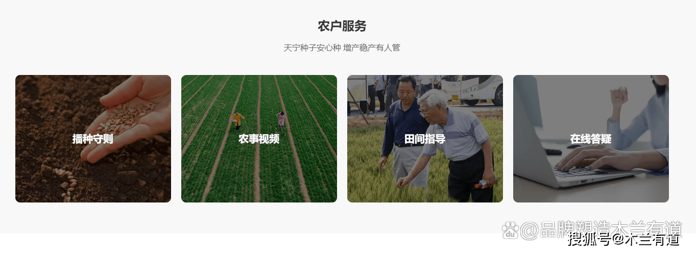 苹果官网 网页版:木兰有道｜企业文化打造amp;品牌官网设计案例展示-第6张图片-太平洋在线下载