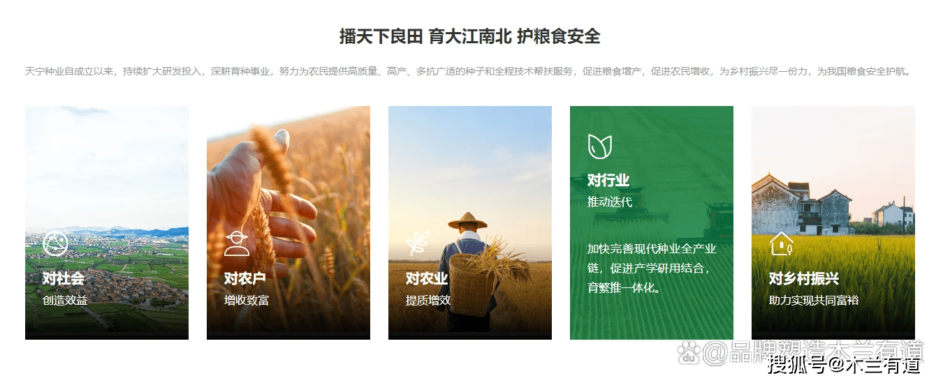 苹果官网 网页版:木兰有道｜企业文化打造amp;品牌官网设计案例展示-第8张图片-太平洋在线下载