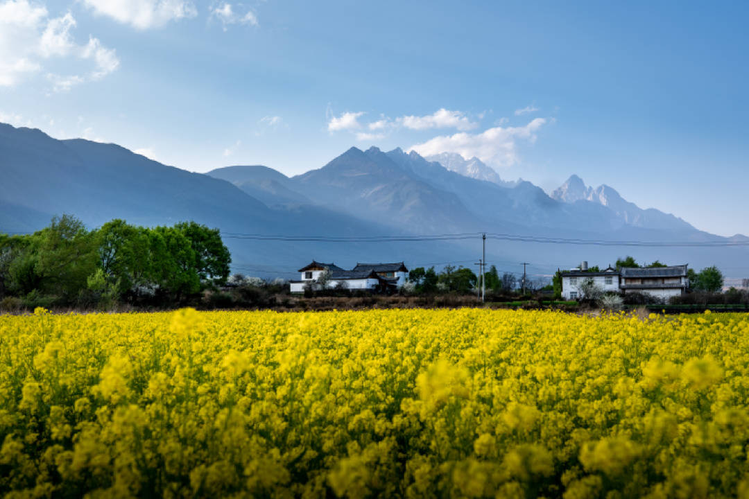 和院管家苹果版:春日旅行图鉴丨云南——一片地，万般景，走过四季皆欢喜