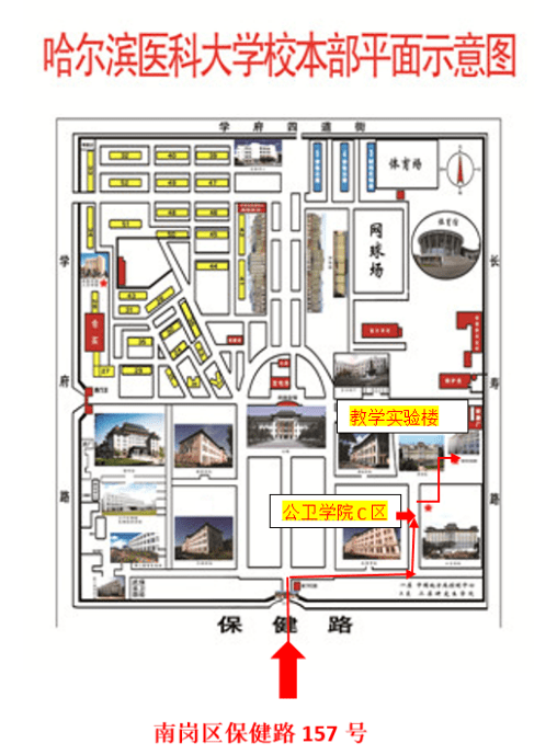 手机编程:黑龙江：2023年全国同等学力申请硕士学位外国语水平和学科综合水平考试须知-第2张图片-太平洋在线下载