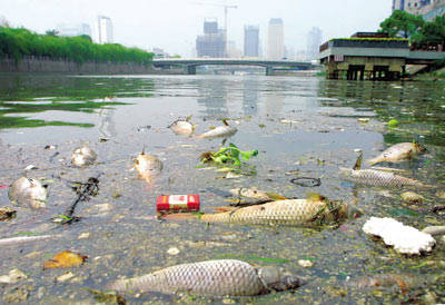 手机辐射的危害:水质的污染危害程度！