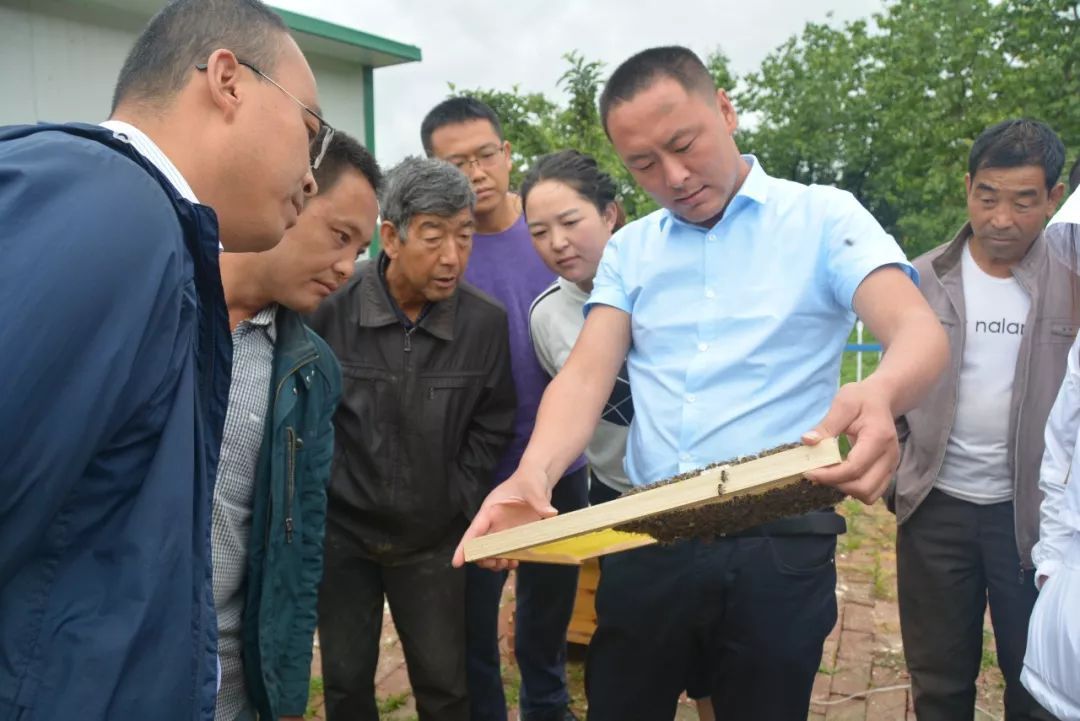 礼县第一新闻客户端在哪的简单介绍-第2张图片-太平洋在线下载