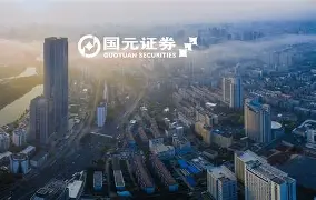 国元证券手机版lr(国元证券手机版有问财吗)