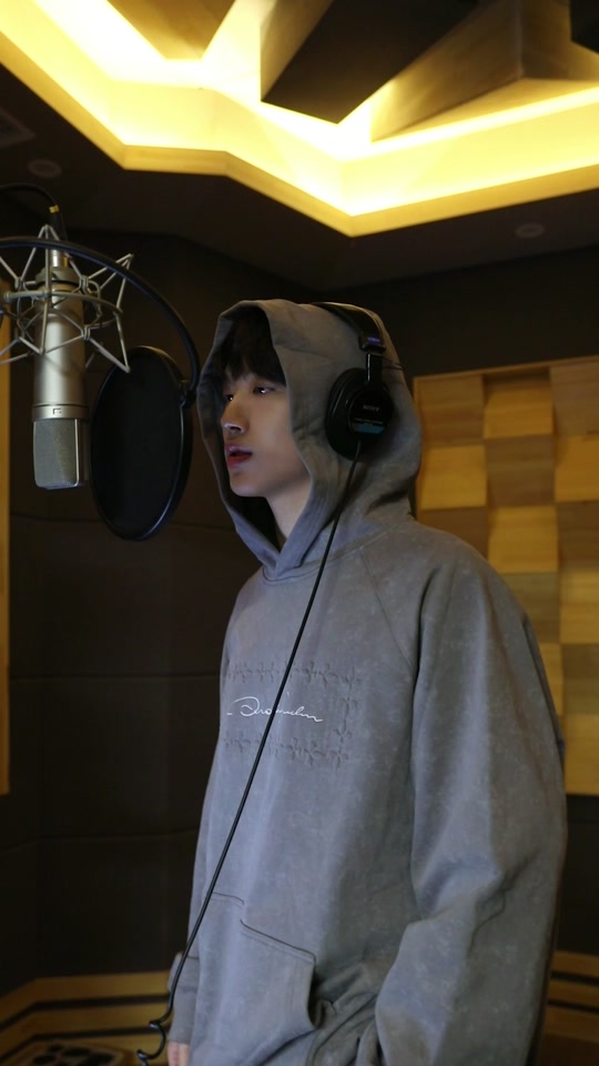 手机myboy模拟器中文版(myboy模拟器1801)-第2张图片-QuickQ官网