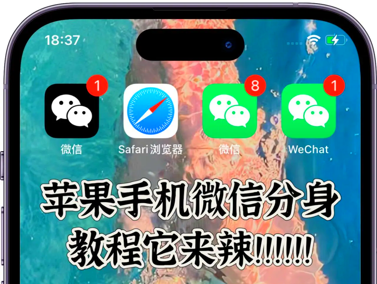 苹果版微信简洁版(苹果微信极简模式怎么设置)-第4张图片-QuickQ官网