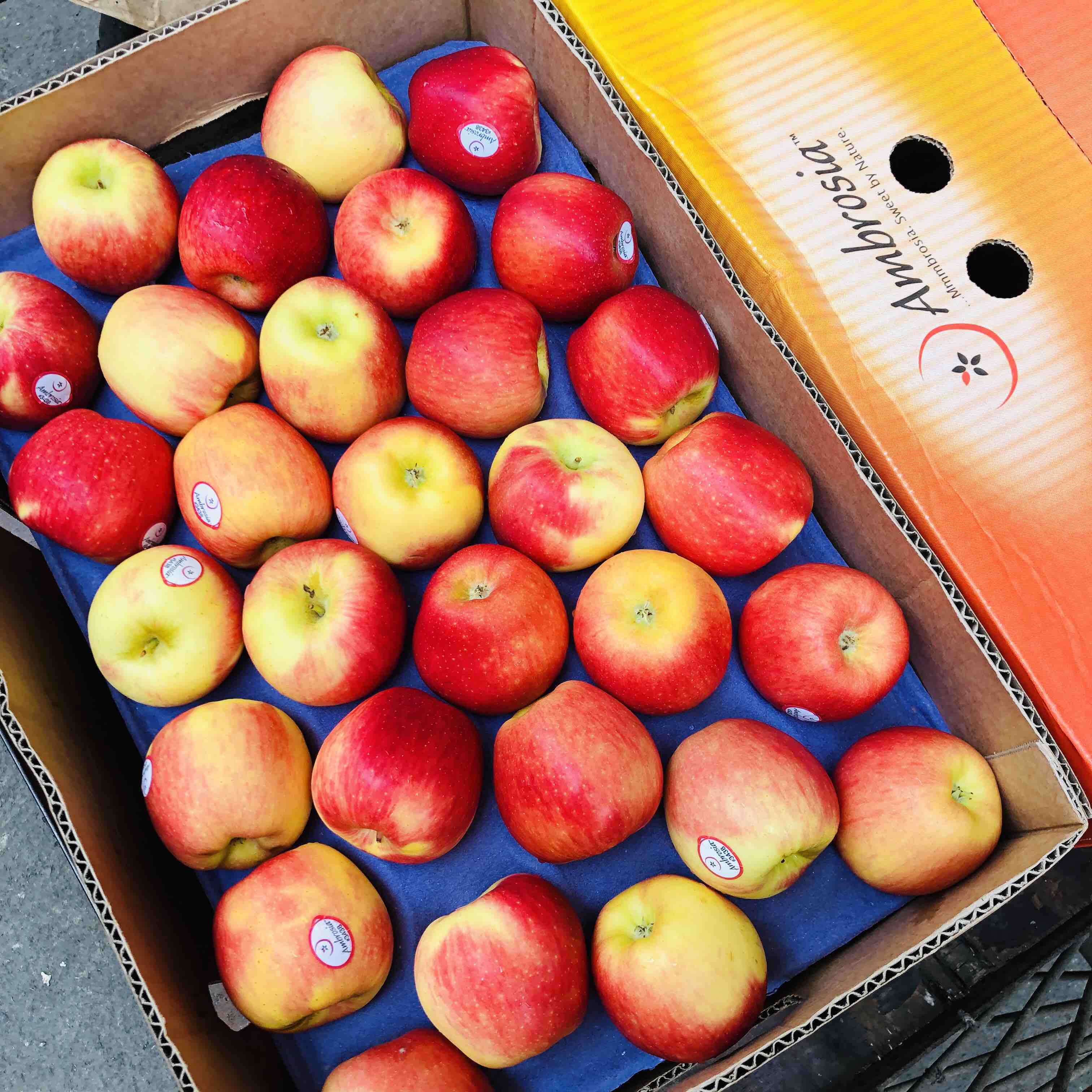 uk版苹果(uki苹果版下载安装)-第3张图片-QuickQ官网