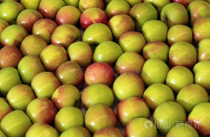 uk版苹果(uki苹果版下载安装)-第5张图片-QuickQ官网