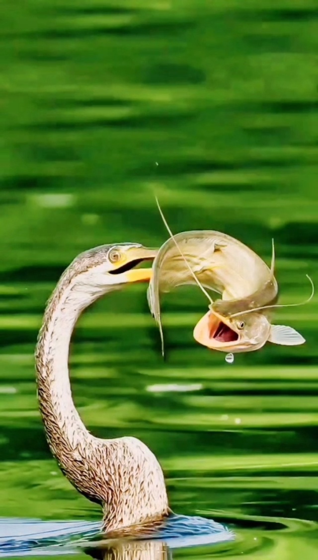 6171捕鱼手机版(捕鱼达人千炮版官方正版)-第4张图片-QuickQ官网