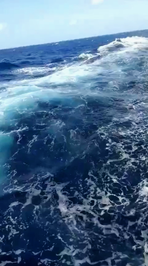 3386游戏手机版(3386游戏官网登陆)-第3张图片-QuickQ官网