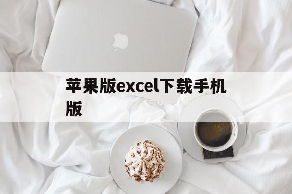 苹果版excel下载手机版(excel表格app手机版苹果)-第1张图片-QuickQ官网