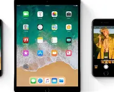 苹果版彩蛋(ios15彩蛋)