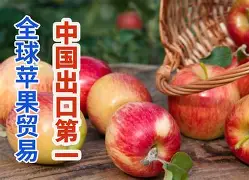 threetiles苹果版(couplegame下载ios)-第4张图片-QuickQ官网