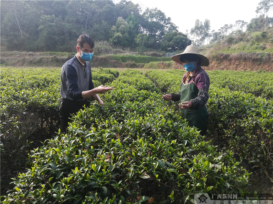 下载广西扶贫手机版(广西扶贫app二维码图片)-第4张图片-QuickQ官网